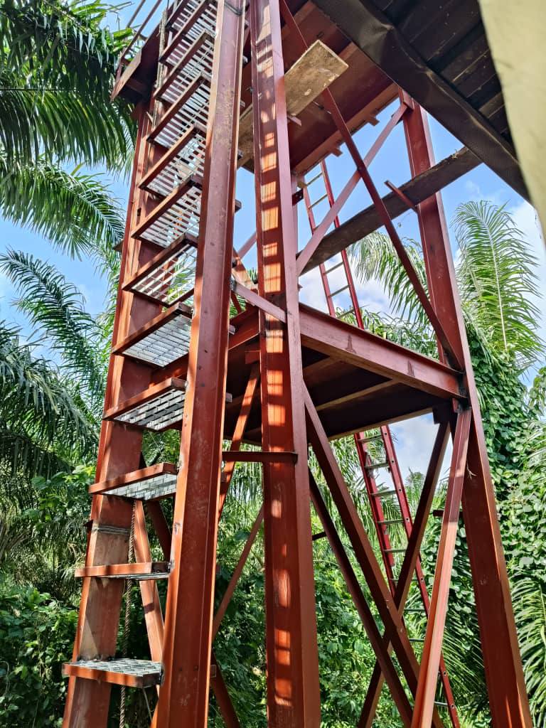 IMG_20251120_163514_061